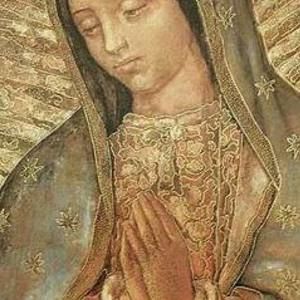 Meet your Posher, Elida